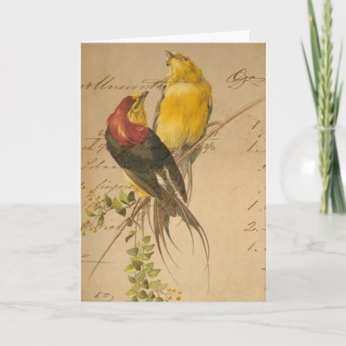 Vintage Birds and Ledger Paper Christmas Holiday Card