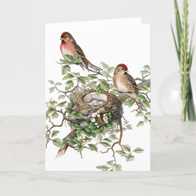Vintage Birds and Nest, Mother's Day