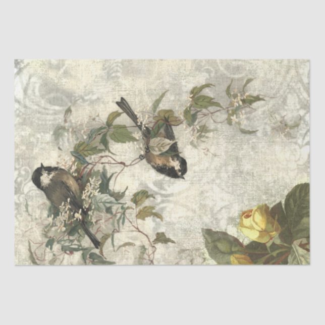 Vintage Birds and Roses Shabby Chic Tissue Paper (Front)