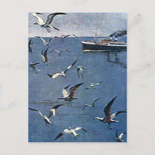 Vintage Birds Animals, Seagulls and Fishing Boats Postcard