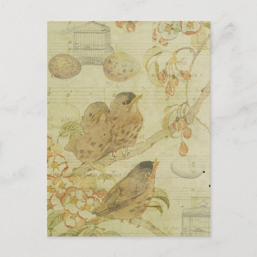 Vintage Birds Branch Birdcage Eggs Music Sheet Postcard