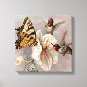 Vintage Birds & Butterfly Sharing a Meal Canvas Print