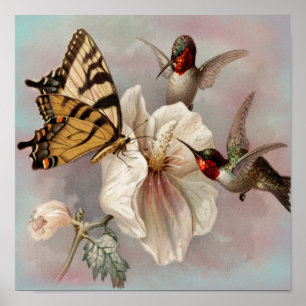 Vintage Birds & Butterfly Sharing a Meal Poster