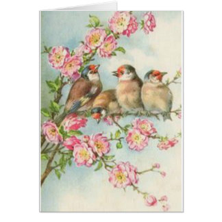 Vintage Birds Cards