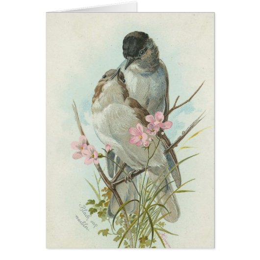 Vintage Birds Cards (Front)