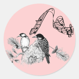 Vintage Birds Classic Round Sticker