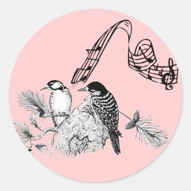 Vintage Birds Classic Round Sticker (Front)