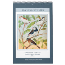 Vintage Birds - Finches and Weavers 2024 Calendar