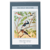Vintage Birds - Finches and Weavers 2026 Calendar