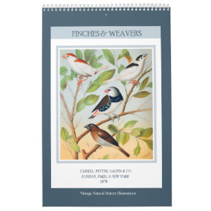 Vintage Birds - Finches and Weavers 2026 Calendar