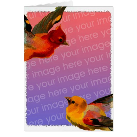 Vintage Birds Frame Cards (Front)