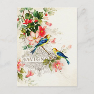 Vintage Birds French Design Postcard
