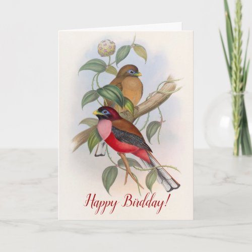 Vintage Birds Funny Birthday Birdday Pun Card