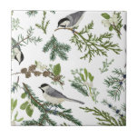 Vintage Birds Green Flora Chickadee Art Nouveau Ceramic Tile<br><div class="desc">Vintage Birds Green Flora Chickadee Art Nouveau Ceramic Tile - Elevate your decor with these exquisite Vintage Birds Green Flora Chickadee Ornate ceramic tiles, featuring an intricate Art Nouveau-inspired design. These antique looking, decorative tiles showcase beautiful floral and botanical motifs with charming chickadee birds, perfect for adding a touch of...</div>