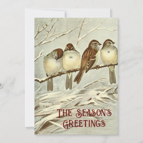 Vintage Birds House Sparrows Seasons Greetings Holiday Card