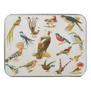 Vintage Birds Illustration Birding Lover Gift Jigsaw Puzzle