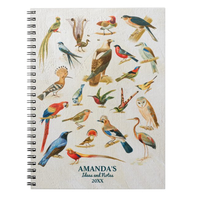 Vintage Birds Illustration Birding Lover Gift Notebook (Front)