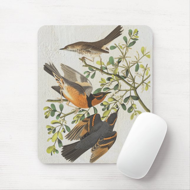 Vintage Birds Illustration Birdwatching Lover Gift Mouse Pad (With Mouse)