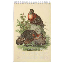 Vintage Birds Illustration Collection Calendar