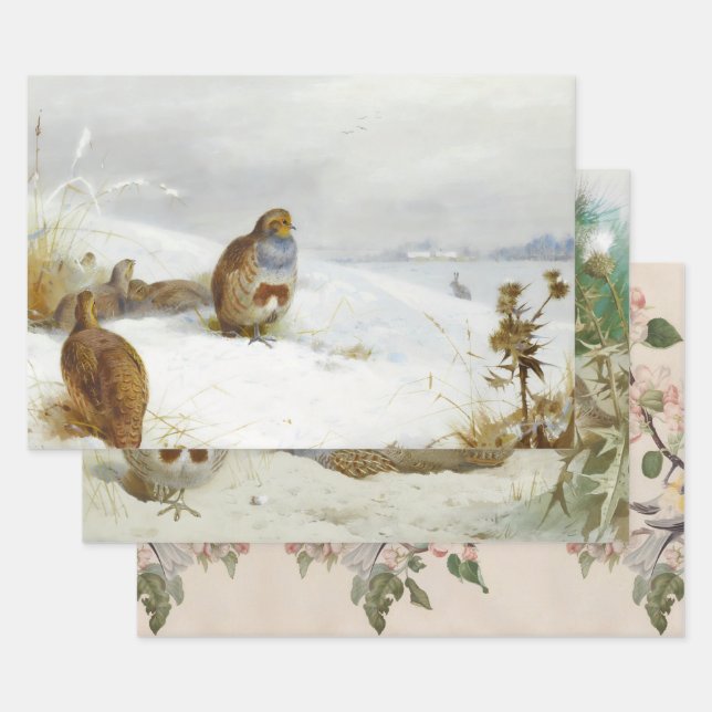Vintage birds illustrations art wrapping paper sheets (Set)