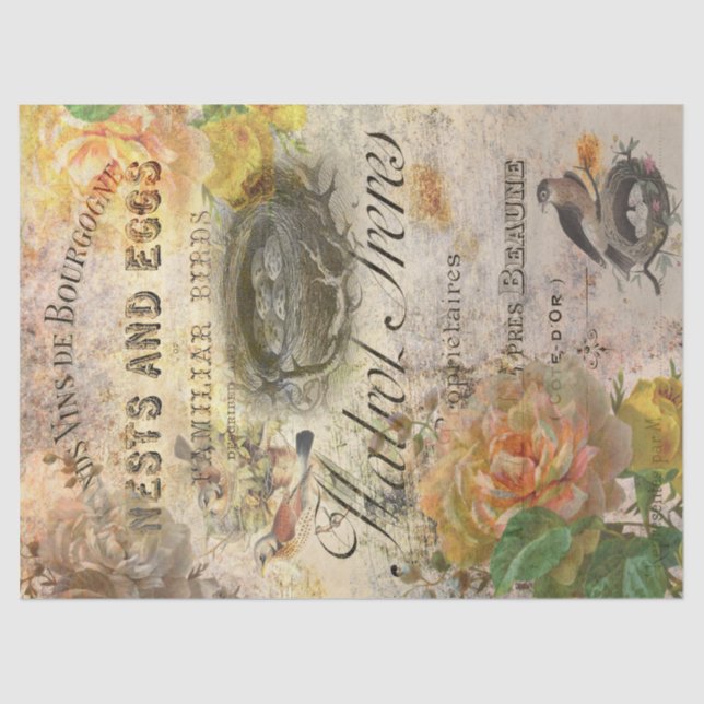 Vintage Birds in French Ephemera Decoupage  Tissue Paper (Front)