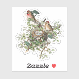 Vintage Birds in Nest Sticker