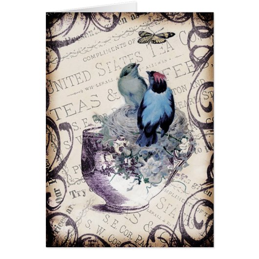 Vintage Birds In Teacup Cards (Front)