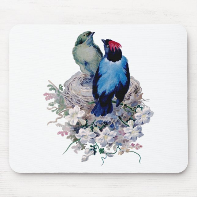 Vintage Birds Mouse Pad (Front)