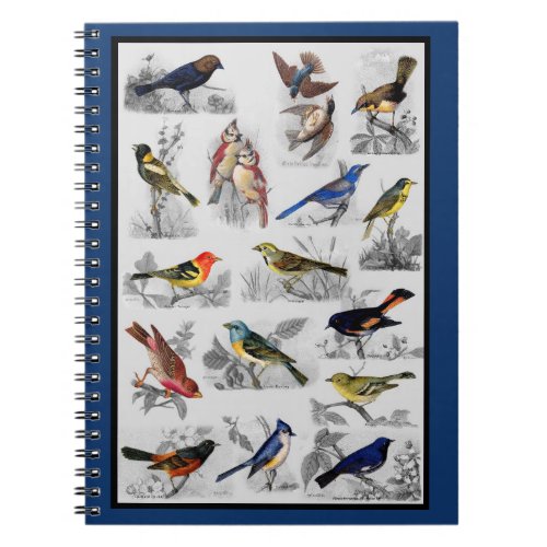 Vintage Birds Notebook