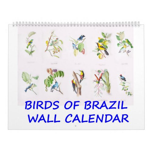 Vintage Birds of Brazil Wall Calendar