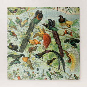Vintage Birds Old Book Illustration Art Animals Jigsaw Puzzle