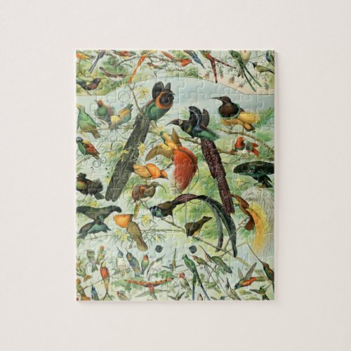 Vintage Birds Old Book Illustration Art Animals Jigsaw Puzzle