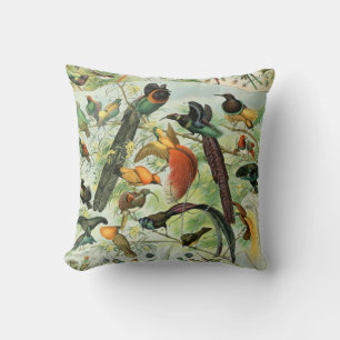 Vintage Birds Old Book Illustration Art Animals Throw Pillow