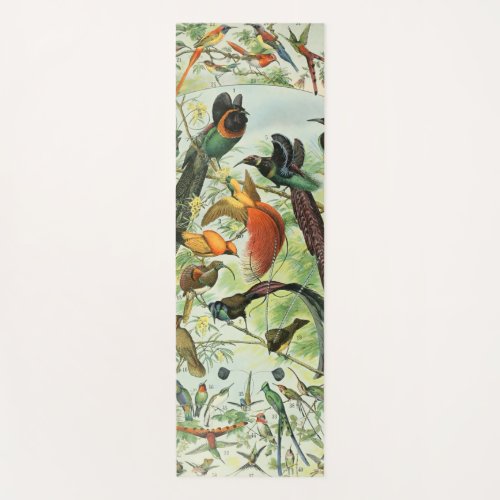 Vintage Birds Old Book Illustration Art Animals Yoga Mat