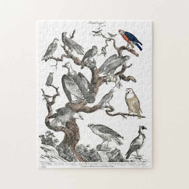 Vintage Birds Old Book Illustration Art Jigsaw Puzzle (Vertical)