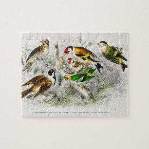 Vintage Birds Old Book Illustration Art Jigsaw Puzzle