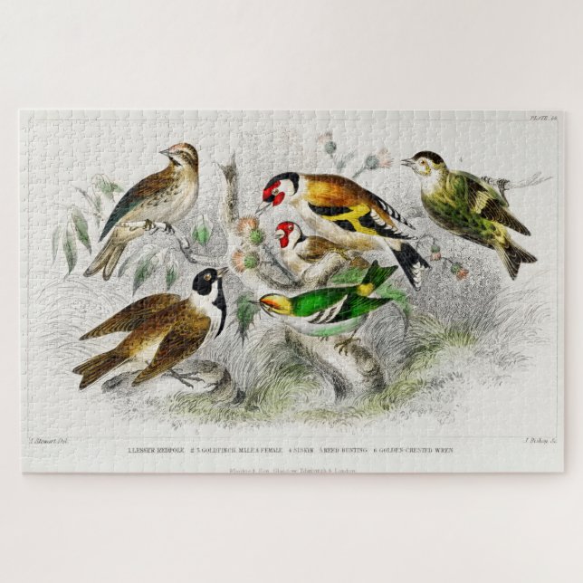 Vintage Birds Old Book Illustration Art Jigsaw Puzzle (Horizontal)