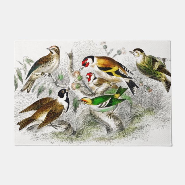 Vintage Birds Old Illustration - Animals Art Doormat (Front)