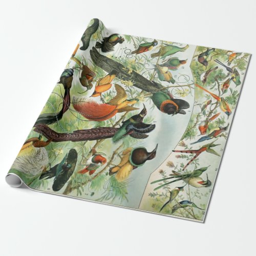 Vintage Birds Old Illustration Art Animals Wrapping Paper