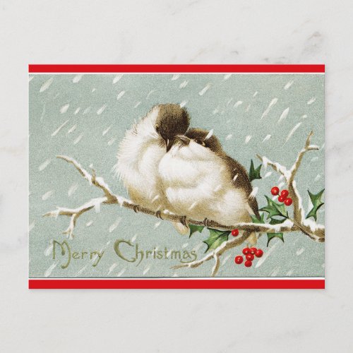 Vintage Birds on a Branch in the Snow Christmas Postcard