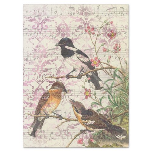 Vintage Birds on Branches and Music Decoupage Tissue Paper