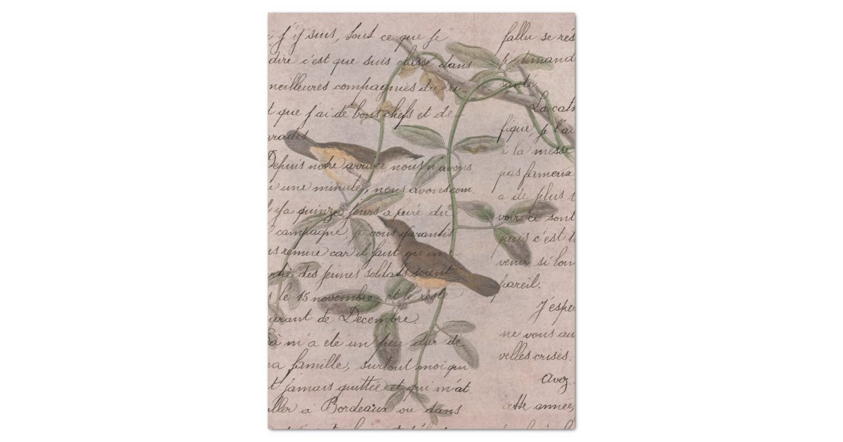 Vintage Birds on Branches with Writing Decoupage Tissue Paper | Zazzle