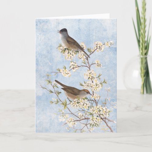 Vintage Birds on Flowering Branch Blue Sky Blank Thank You Card