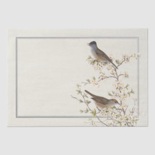 Vintage Birds on Flowering Branch Silver Border  Tissue Paper