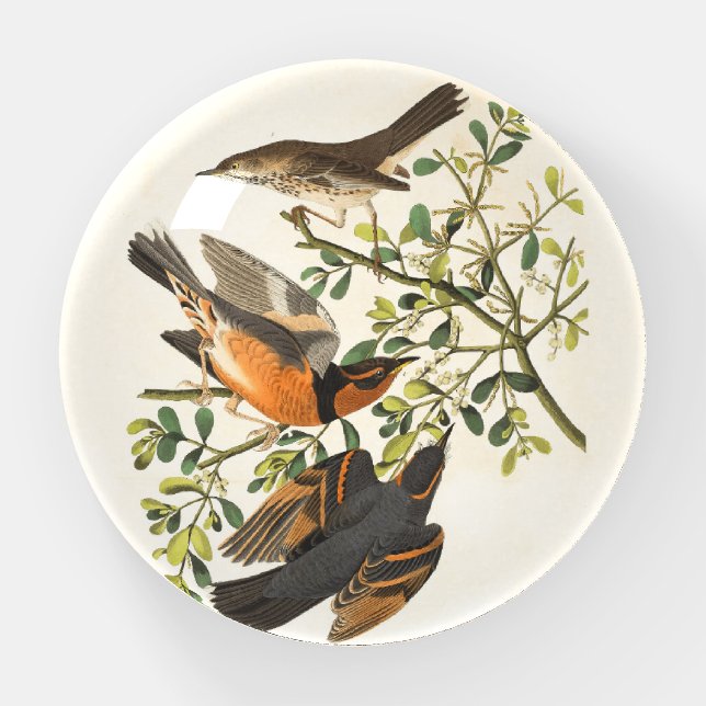 Vintage Birds Paperweight (Front)