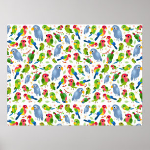 Vintage Birds Pattern, Colorful parakeet pattern Poster