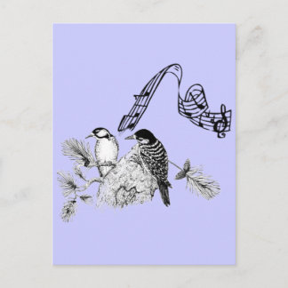 Vintage Birds Postcard