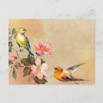 Vintage Birds Postcard by designsbytasha at Zazzle