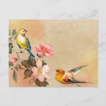 Vintage Birds Postcard