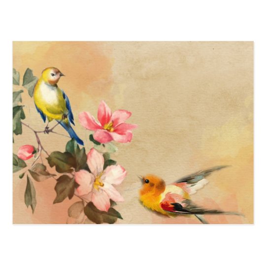 Vintage Birds Postcard | Zazzle.com